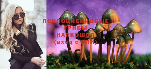 соль ск Абинск