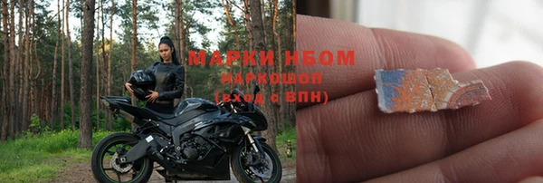 ГАЛЛЮЦИНОГЕННЫЕ ГРИБЫ Новозыбков