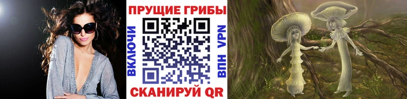 сайты даркнета телеграм  Цимлянск  Псилоцибиновые грибы Psilocybe  ссылка на мегу как зайти 